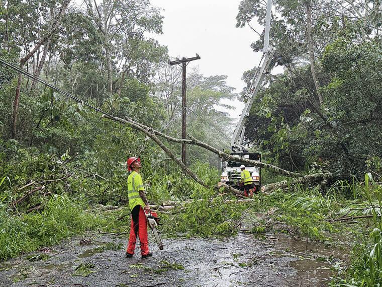 Post-Hurricane Property Cleanup & Green Waste Disposal